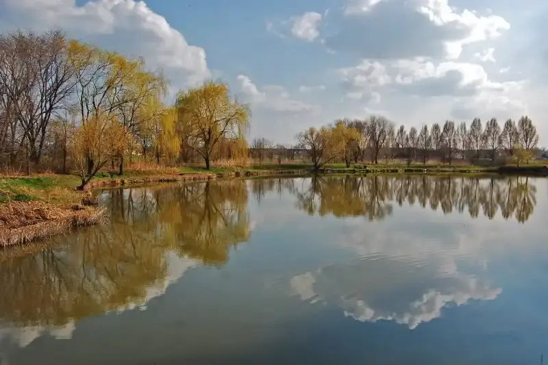 Arborétum, Petőháza