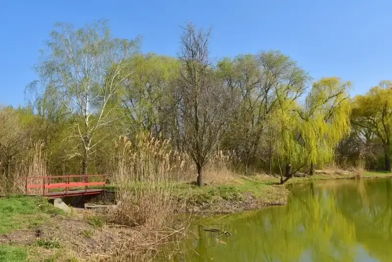 Arborétum, Petőháza