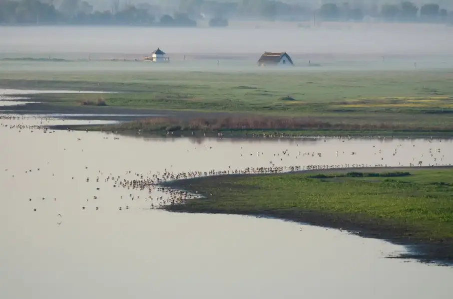 Pusztaszeri Tájvédelmi Körzet, Pusztaszer