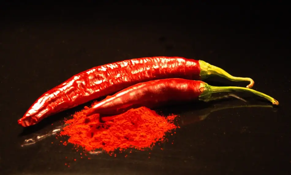 Paprika Malom és Múzeum, Röszke