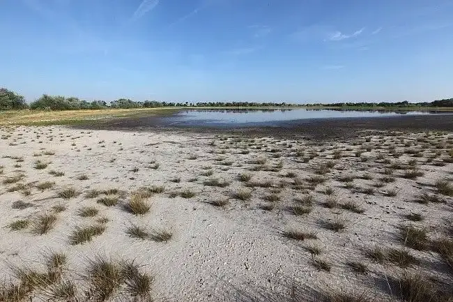 Sziki Őszirózsa tanösvény, Sarród