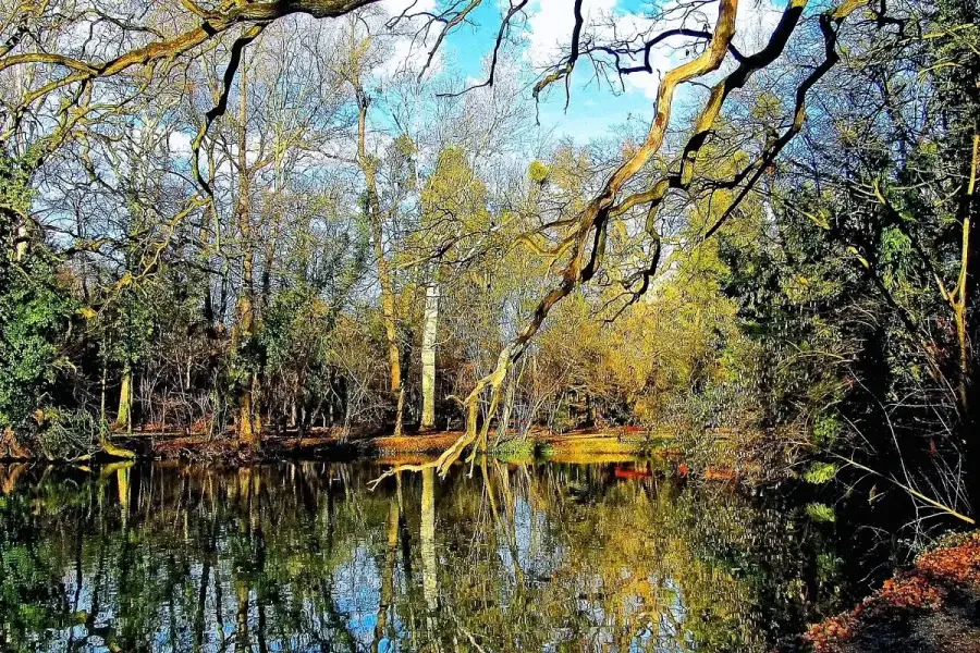 Arborétum, Sárvár