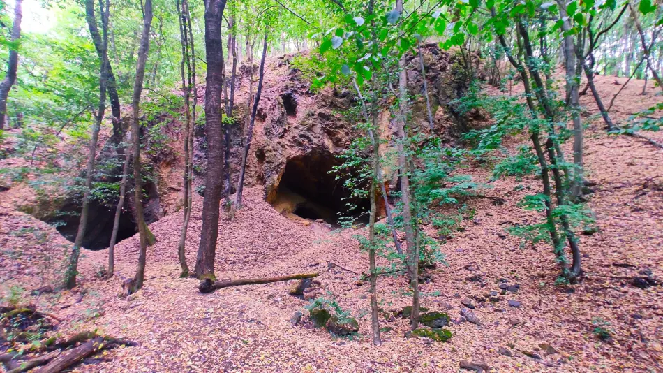 Szalamandra tanösvény, Dédestapolcsány