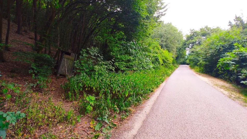 Szalamandra tanösvény, Dédestapolcsány