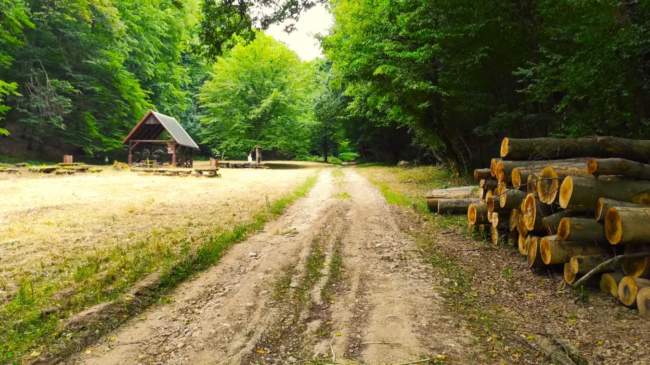 Szalamandra tanösvény, Dédestapolcsány