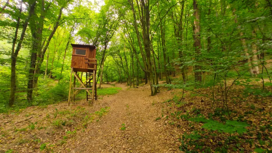 Szalamandra tanösvény, Dédestapolcsány