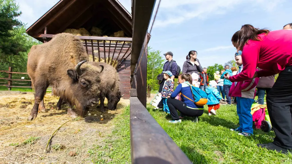 Körösvölgyi Látogatóközpont és Állatpark, Szarvas