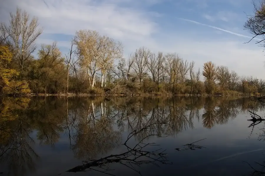 Tisza, Szeged