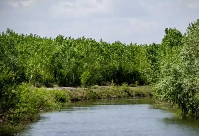 Kórógy-ér, Szegvár