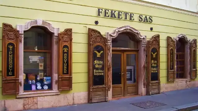 Fekete Sas Patikamúzeum, Székesfehérvár