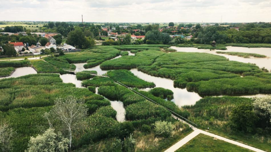 Sóstói tanösvény, Székesfehérvár