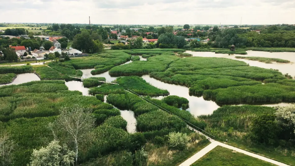 Sóstó kilátó, Székesfehérvár