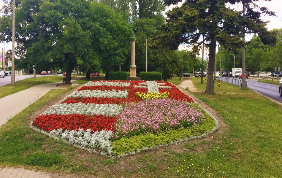 Turul madár, Székesfehérvár