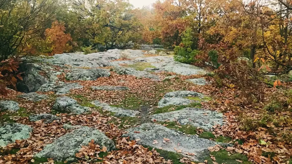 Kőtenger, Szentbékkálla