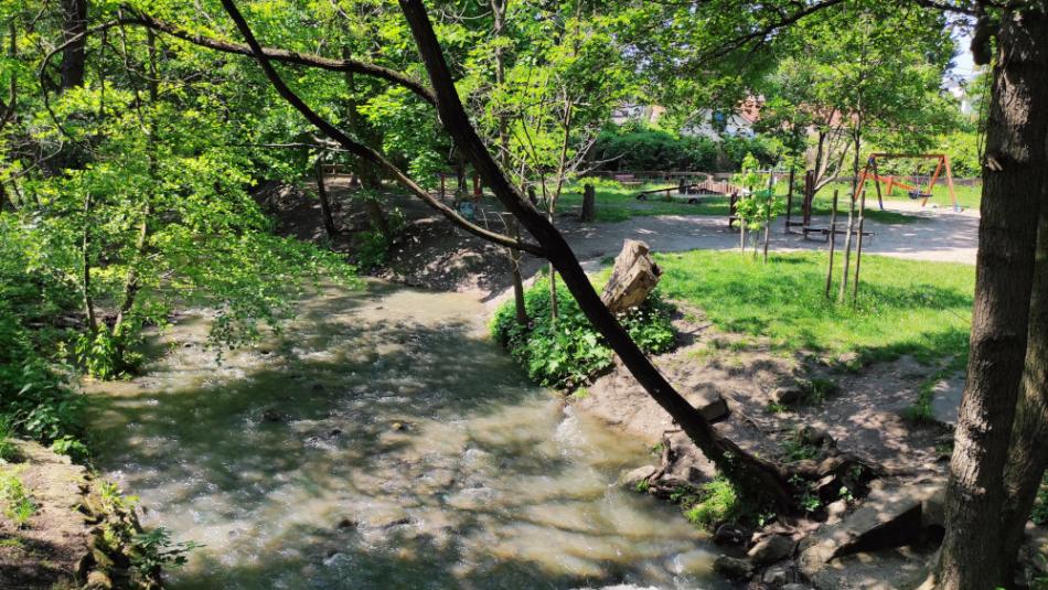 Bükkös-patak tanösvény, Szentendre