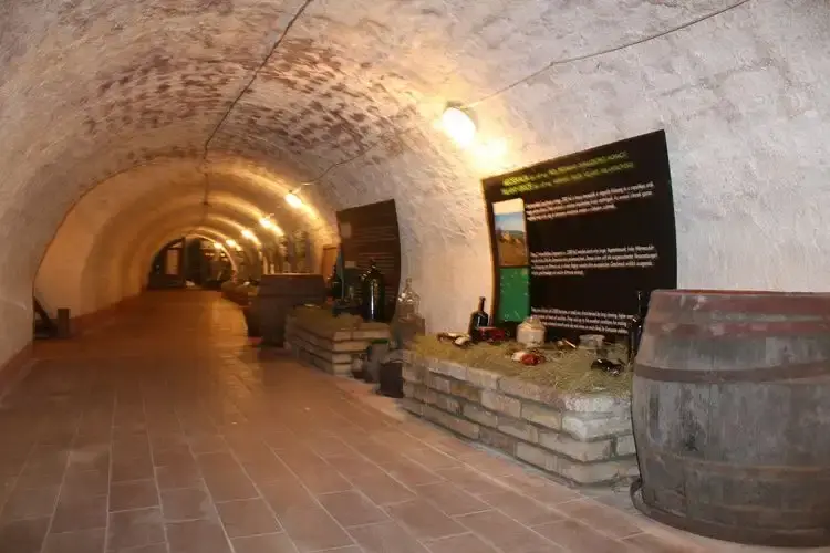 Nemzeti Bormúzeum, Szentendre