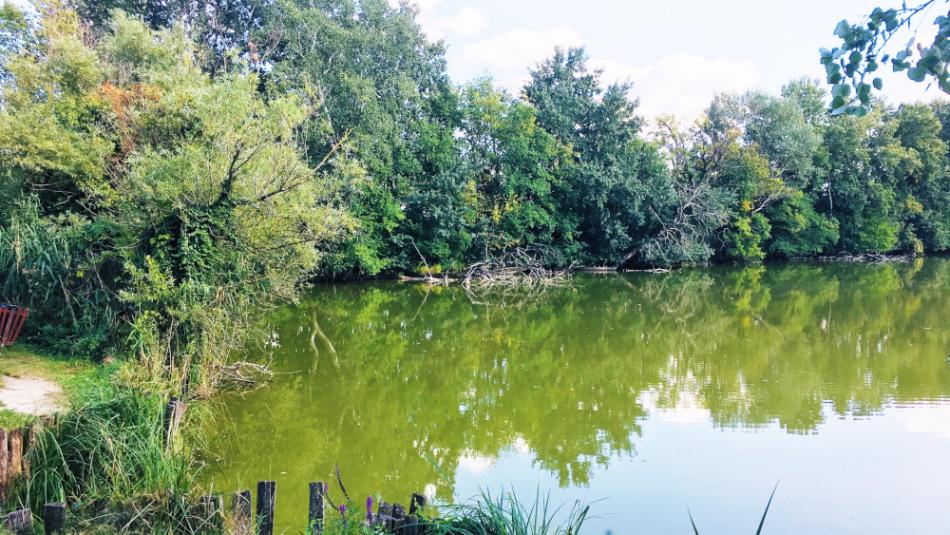 Tőzike tanösvény, Szigetbecse