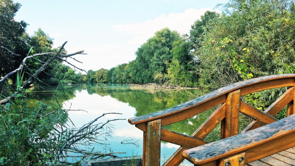 Tőzike tanösvény, Szigetbecse