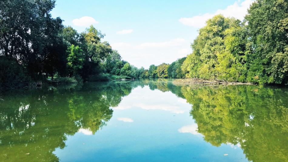 Tőzike tanösvény, Szigetbecse