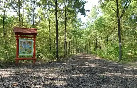 Bagolyvár természetismereti tanösvény, Szolnok