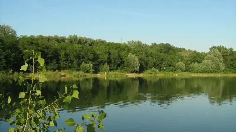 Síkvölgyi I-II. tavak, Tatabánya