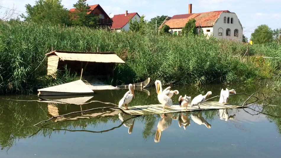 Tisza-tavi Ökocentrum, Poroszló