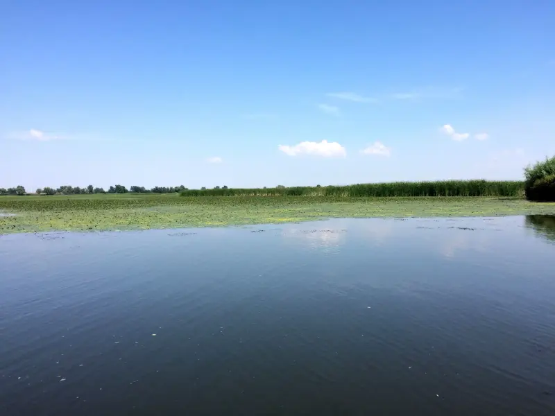 Tisza-tó, Abádszalók