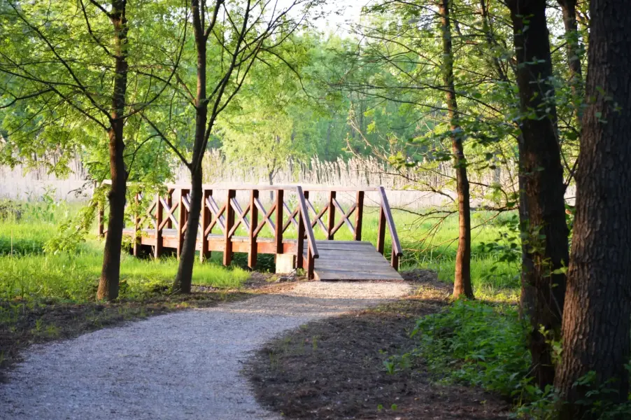 Tiszaigari Arborétum, Tiszaigar