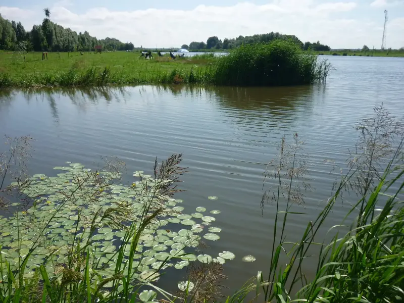 Holt-Tisza, Tiszakécske