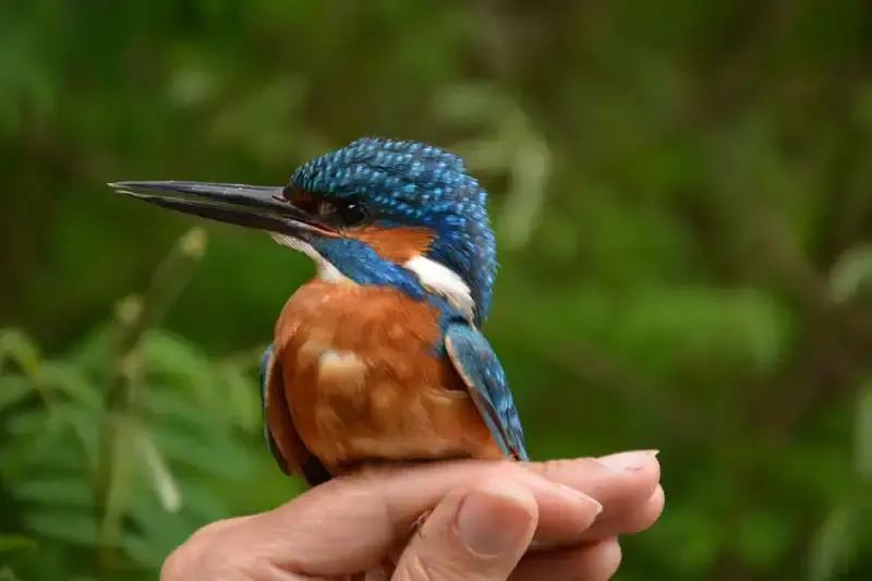 Kis-Tisza Ökocentrum, Tiszalök