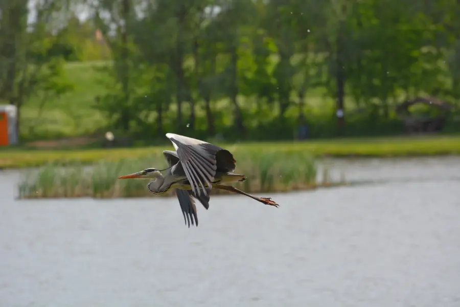 Kis-Tisza Ökocentrum, Tiszalök