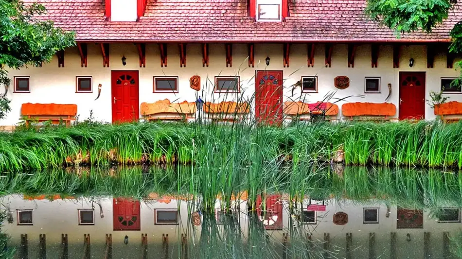 Szőlőszemfarm Szórakoztató és Egészségfarm, Tiszaszőlős