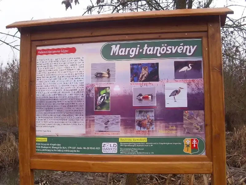 Margi-tanösvény, Újszentmargita