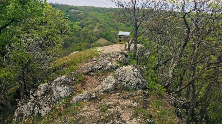 Vértesi Panoráma tanösvény, Csákberény