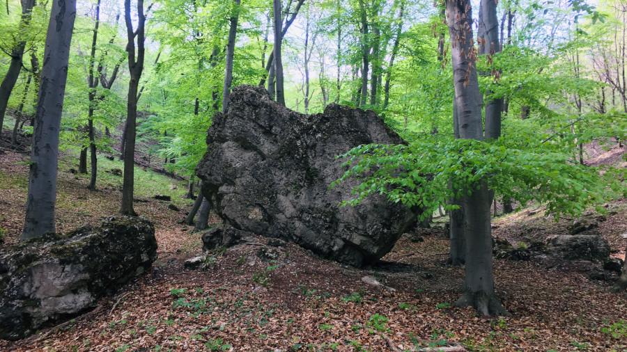 Vértesi Panoráma tanösvény, Csákberény