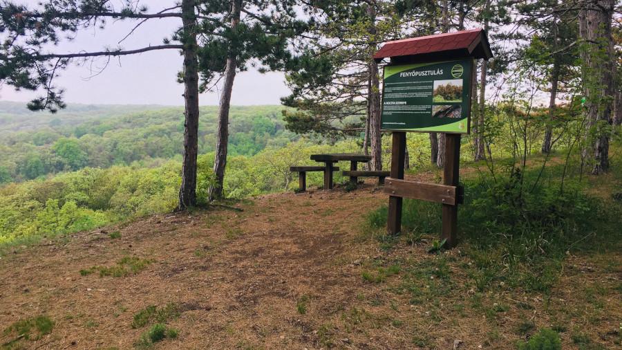 Vértesi Panoráma tanösvény, Csákberény