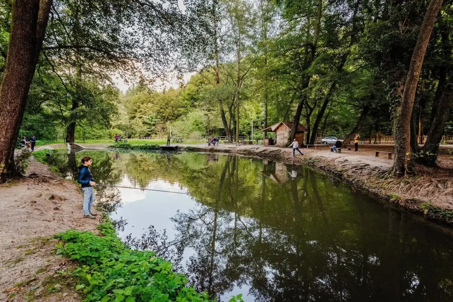 Visegrádi Pisztrángos Tavak, Visegrád