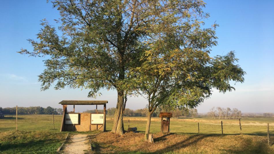 Kápolnapusztai Bivalyrezervátum, Zalakomár