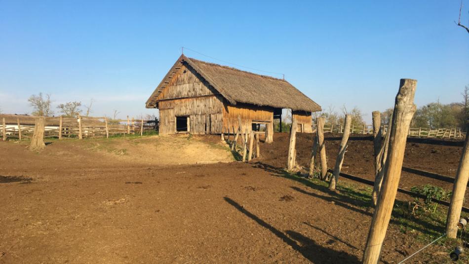 Kápolnapusztai Bivalyrezervátum, Zalakomár