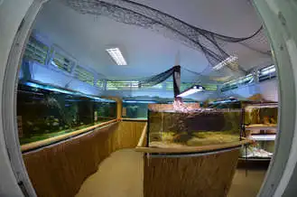 H2O Akváriumház, Gárdony