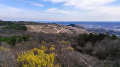 Gubóvirág Tanösvény, Budaörs