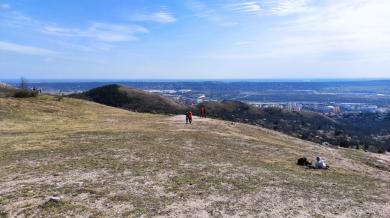 Gubóvirág Tanösvény, Budaörs