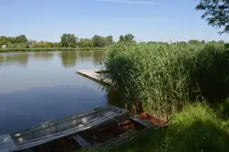 Szelidi-tó, Dunapataj