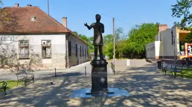 Petőfi szobor, Dunavecse