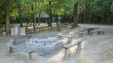 Gödöllői Erdészeti Arborétum, Gödöllő