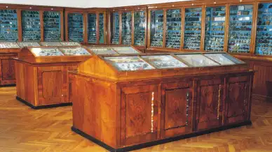 Viski Károly Múzeum, Kalocsa