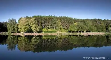 Dombay-tó, Pécsvárad
