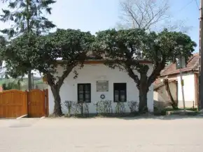 Gárdonyi Géza Honismereti Ház, Sály