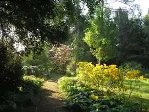 Chernel-kert Arborétum, Kőszeg
