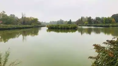 Gyopárosi-tó, Orosháza